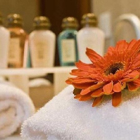 Hotel Stubel Suites & Cafe 키토 객실 사진